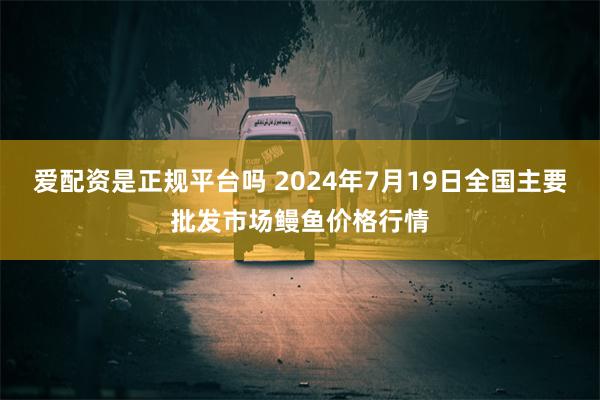 爱配资是正规平台吗 2024年7月19日全国主要批发市场鳗鱼价格行情