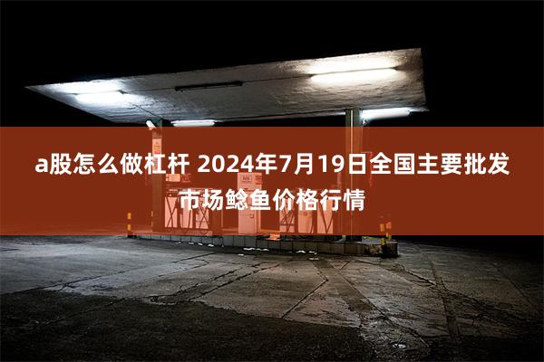 a股怎么做杠杆 2024年7月19日全国主要批发市场鲶鱼价格行情