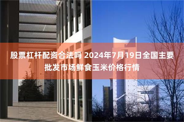 股票杠杆配资合法吗 2024年7月19日全国主要批发市场鲜食玉米价格行情