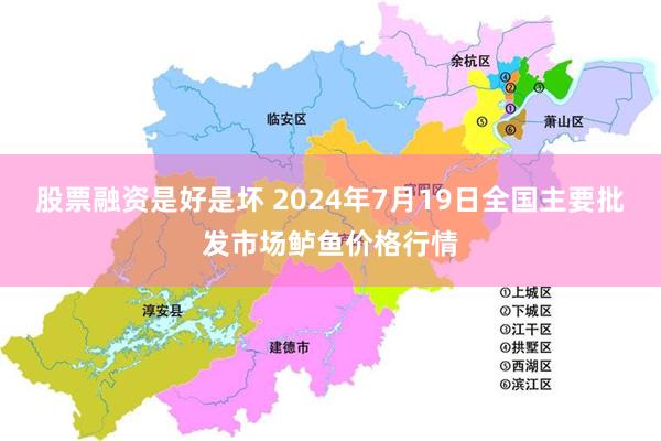 股票融资是好是坏 2024年7月19日全国主要批发市场鲈鱼价格行情