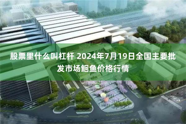 股票里什么叫杠杆 2024年7月19日全国主要批发市场鮰鱼价格行情