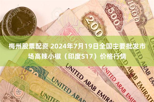 梅州股票配资 2024年7月19日全国主要批发市场高辣小椒（印度S17）价格行情