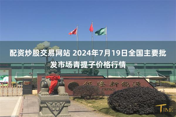 配资炒股交易网站 2024年7月19日全国主要批发市场青提子价格行情