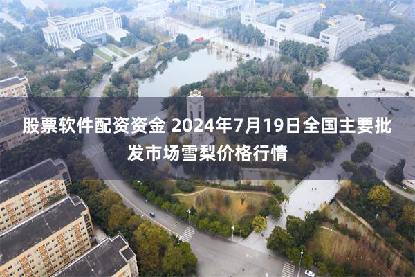 股票软件配资资金 2024年7月19日全国主要批发市场雪梨价格行情