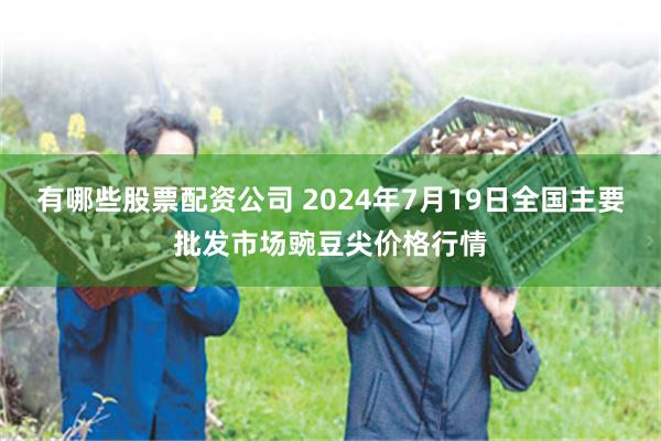 有哪些股票配资公司 2024年7月19日全国主要批发市场豌豆尖价格行情