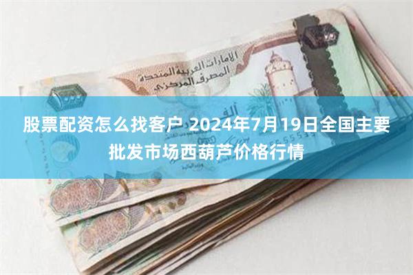 股票配资怎么找客户 2024年7月19日全国主要批发市场西葫芦价格行情