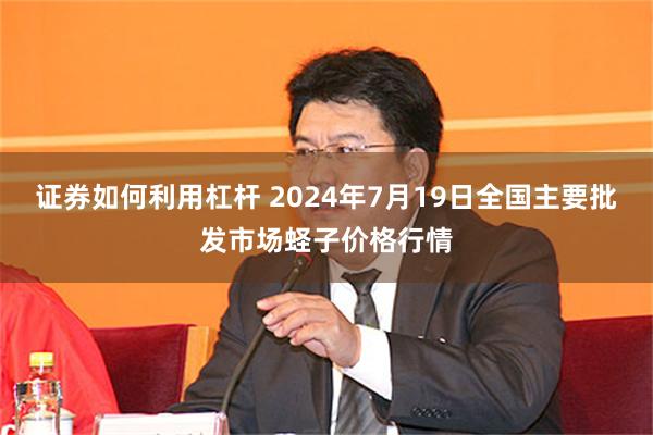 证券如何利用杠杆 2024年7月19日全国主要批发市场蛏子价格行情