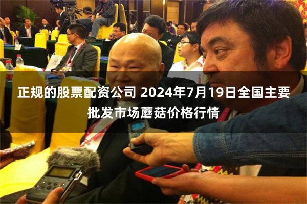 正规的股票配资公司 2024年7月19日全国主要批发市场蘑菇价格行情