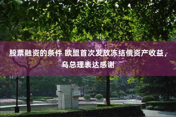 股票融资的条件 欧盟首次发放冻结俄资产收益，乌总理表达感谢