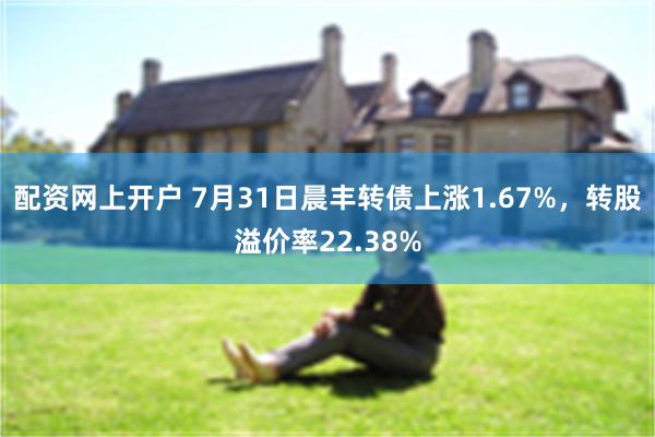 配资网上开户 7月31日晨丰转债上涨1.67%，转股溢价率22.38%