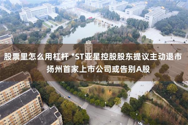 股票里怎么用杠杆 *ST亚星控股股东提议主动退市     扬州首家上市公司或告别A股