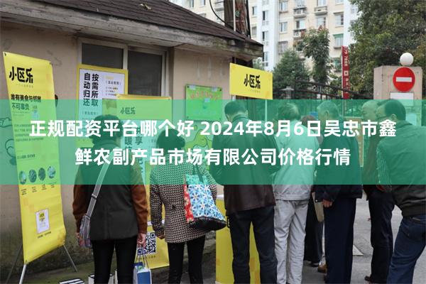 正规配资平台哪个好 2024年8月6日吴忠市鑫鲜农副产品市场有限公司价格行情