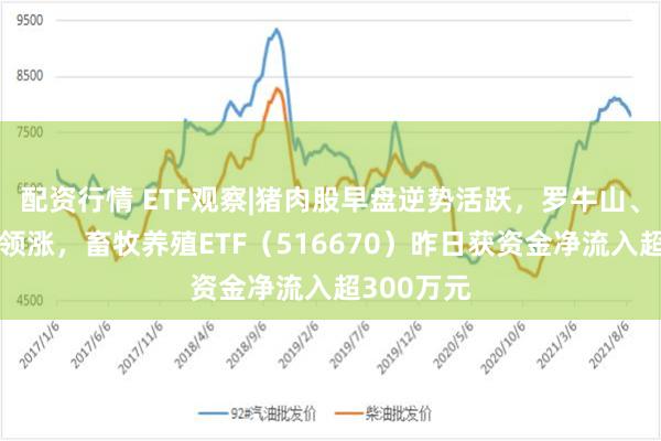 配资行情 ETF观察|猪肉股早盘逆势活跃，罗牛山、唐人神等领涨，畜牧养殖ETF（516670）昨日获资金净流入超300万元