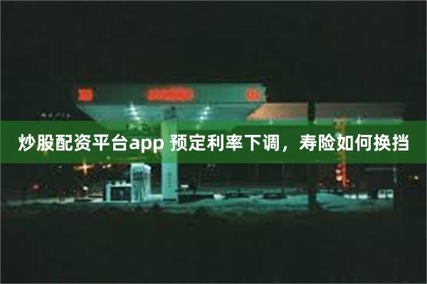 炒股配资平台app 预定利率下调，寿险如何换挡