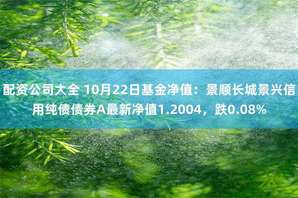 配资公司大全 10月22日基金净值：景顺长城景兴信用纯债债券A最新净值1.2004，跌0.08%