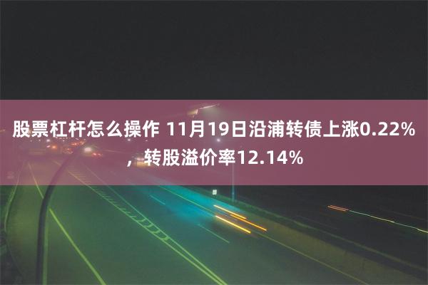 股票杠杆怎么操作 11月19日沿浦转债上涨0.22%，转股溢价率12.14%