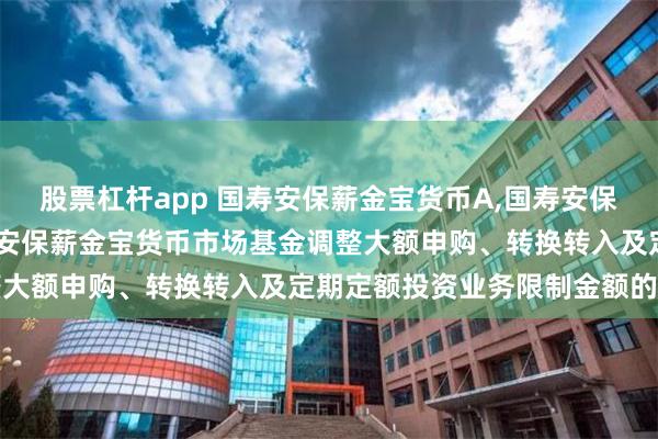 股票杠杆app 国寿安保薪金宝货币A,国寿安保薪金宝货币B: 关于国寿安保薪金宝货币市场基金调整大额申购、转换转入及定期定额投资业务限制金额的公告