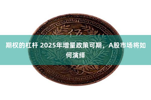 期权的杠杆 2025年增量政策可期，A股市场将如何演绎