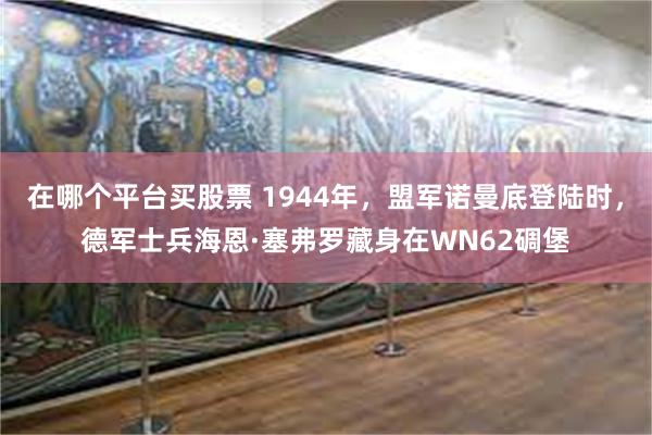 在哪个平台买股票 1944年，盟军诺曼底登陆时，德军士兵海恩·塞弗罗藏身在WN62碉堡