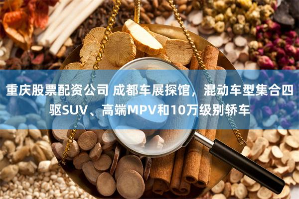 重庆股票配资公司 成都车展探馆，混动车型集合四驱SUV、高端MPV和10万级别轿车