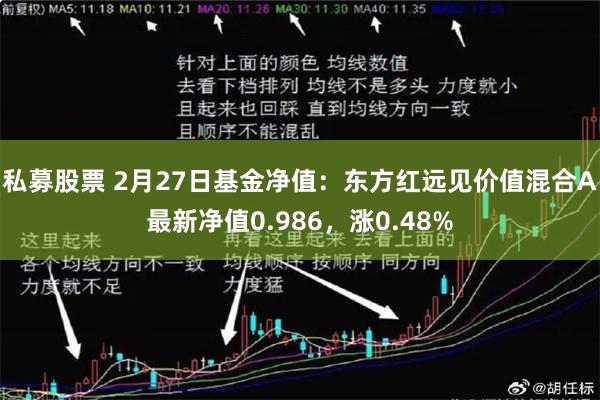 私募股票 2月27日基金净值：东方红远见价值混合A最新净值0.986，涨0.48%